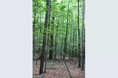 2 Garnett Ward Road, Hull, GA 30646 - Photo 4