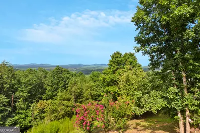 1388 Highland Trace, Blairsville, GA 30512 - Photo 48