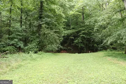 833 Neal Gap Road, Summerville, GA 30747 - Photo 34