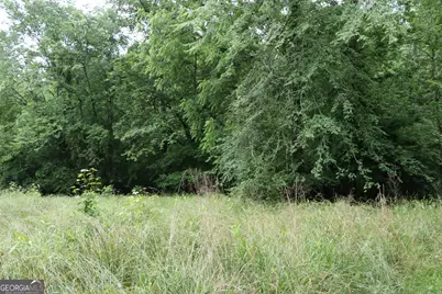 833 Neal Gap Road, Summerville, GA 30747 - Photo 24