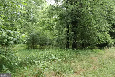 833 Neal Gap Road, Summerville, GA 30747 - Photo 30