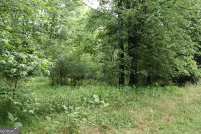 833 Neal Gap Road, Summerville, GA 30747 - Photo 28