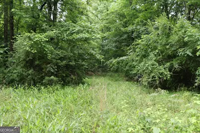 833 Neal Gap Road, Summerville, GA 30747 - Photo 20