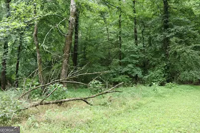 833 Neal Gap Road, Summerville, GA 30747 - Photo 36