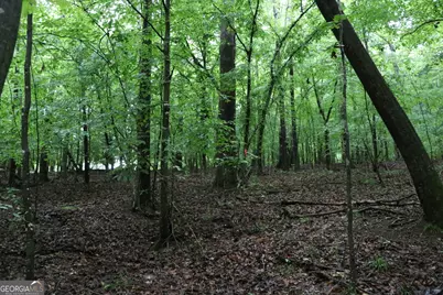 833 Neal Gap Road, Summerville, GA 30747 - Photo 60