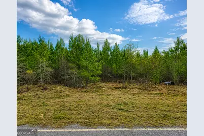6965 Jim Pruett Road, Eastman, GA 31023 - Photo 6