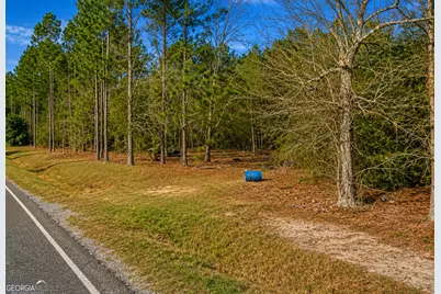 6965 Jim Pruett Road, Eastman, GA 31023 - Photo 10