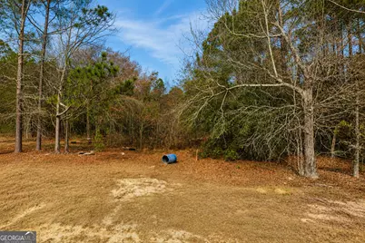 6965 Jim Pruett Road, Eastman, GA 31023 - Photo 4