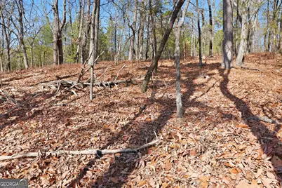 Lot 59 Mountain Sweet Drive, Clarkesville, GA 30523 - Photo 8