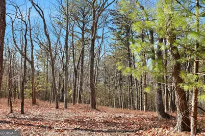 Lot 59 Mountain Sweet Drive, Clarkesville, GA 30523 - Photo 14