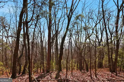 Lot 59 Mountain Sweet Drive, Clarkesville, GA 30523 - Photo 10