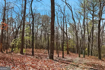 Lot 58 Mountain Sweet Drive, Clarkesville, GA 30523 - Photo 14