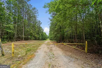 0 Pear Orchard Road, Greensboro, GA 30642 - Photo 8
