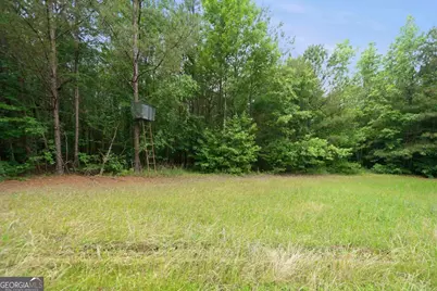 0 Pear Orchard Road, Greensboro, GA 30642 - Photo 12