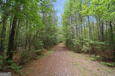0 Pear Orchard Road, Greensboro, GA 30642 - Photo 2