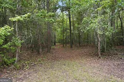 0 Pear Orchard Road, Greensboro, GA 30642 - Photo 18