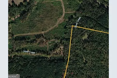 0 Pear Orchard Road, Greensboro, GA 30642 - Photo 6