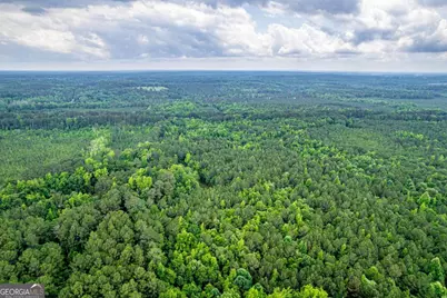 0 Pear Orchard Road, Greensboro, GA 30642 - Photo 28
