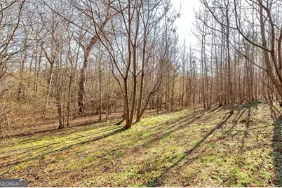 170 Mackey Road, McDonough, GA 30252 - Photo 12