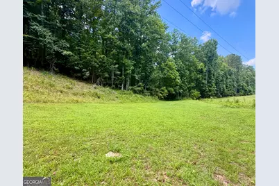 311 Woodland Brook Drive, Canton, GA 30115 - Photo 66