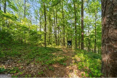 311 Woodland Brook Drive, Canton, GA 30115 - Photo 62