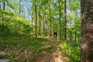 311 Woodland Brook Dr, Canton, GA 30115 - Photo 62