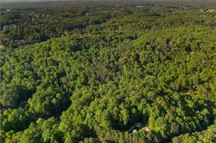 311 Woodland Brook Dr, Canton, GA 30115 - Photo 58