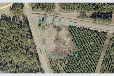 0 Bill Oliver Road, Wrightsville, GA 31096 - Photo 2
