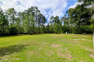 1085 Conaway McDonald Rd, Tarrytown, GA 30470 - Photo 8