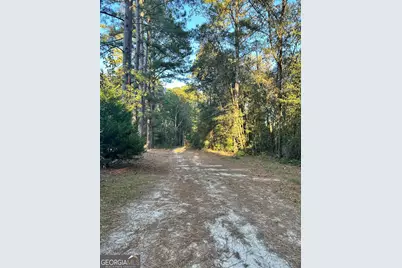 216 Skye View Drive, Statesboro, GA 30458 - Photo 34
