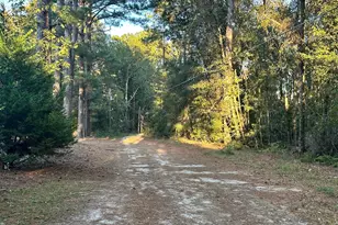 216 Skye Vw Dr, Statesboro, GA 30458 - Photo 34