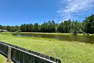 1038 Sand Dollar Way, Brunswick, GA 31523 - Photo 30