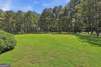 239 Ebenezer Church Rd, Fayetteville, GA 30215 - Photo 8