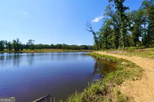 0 Walters Rd, Barnesville, GA 30204 - Photo 24