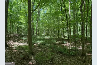 541 S Steel Bridge Road, Eatonton, GA 31024 - Photo 2