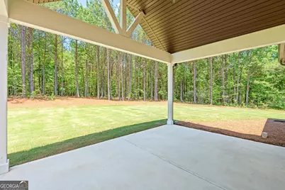 498 Martin Mill Road, Moreland, GA 30259 - Photo 4
