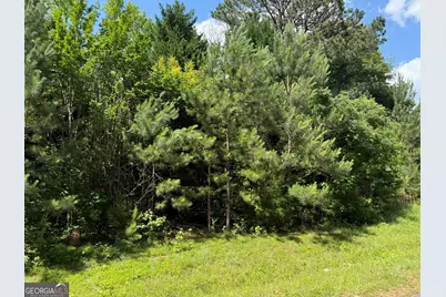 1425 River Road, Warm Springs, GA 31830 - Photo 2