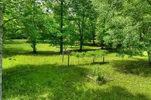 94 Old Pl Dr, Blue Ridge, GA 30513 - Photo 48