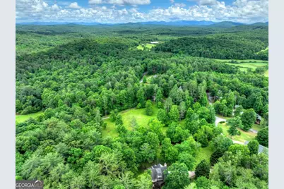 94 Old Place Drive, Blue Ridge, GA 30513 - Photo 46