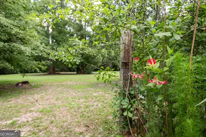 5860 E Main Street, Patterson, GA 31557 - Photo 46