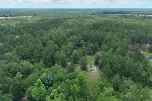 35519 Ga Hwy 23 N, Metter, GA 30439 - Photo 48