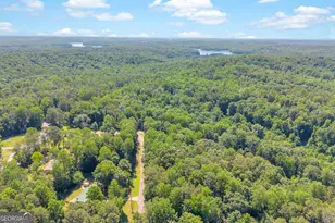 114 Lake Harbor Trail, Martin, GA 30557 - Photo 38