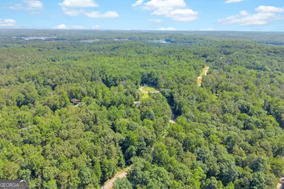 114 Lake Harbor Trail, Martin, GA 30557 - Photo 40