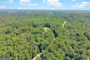 114 Lake Harbor Trail, Martin, GA 30557 - Photo 40
