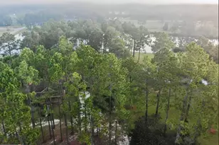 11 Stover White Dr, McRae-Helena, GA 31037 - Photo 52