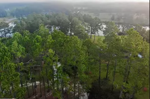 11 Stover White Dr, McRae-Helena, GA 31037 - Photo 46