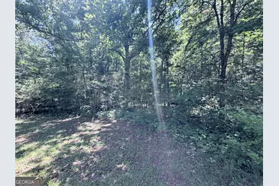 256 W Kellogg Drive, Colbert, GA 30628 - Photo 8
