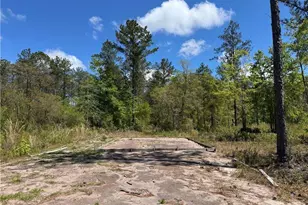 1757 Mcintosh Trl SE, Townsend, GA 31331 - Photo 40
