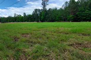 1 Roy Lawrence Rd, Sparta, GA 31087 - Photo 1