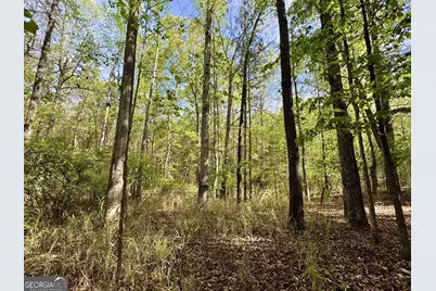 1 Roy Lawrence Road, Sparta, GA 31087 - Photo 22